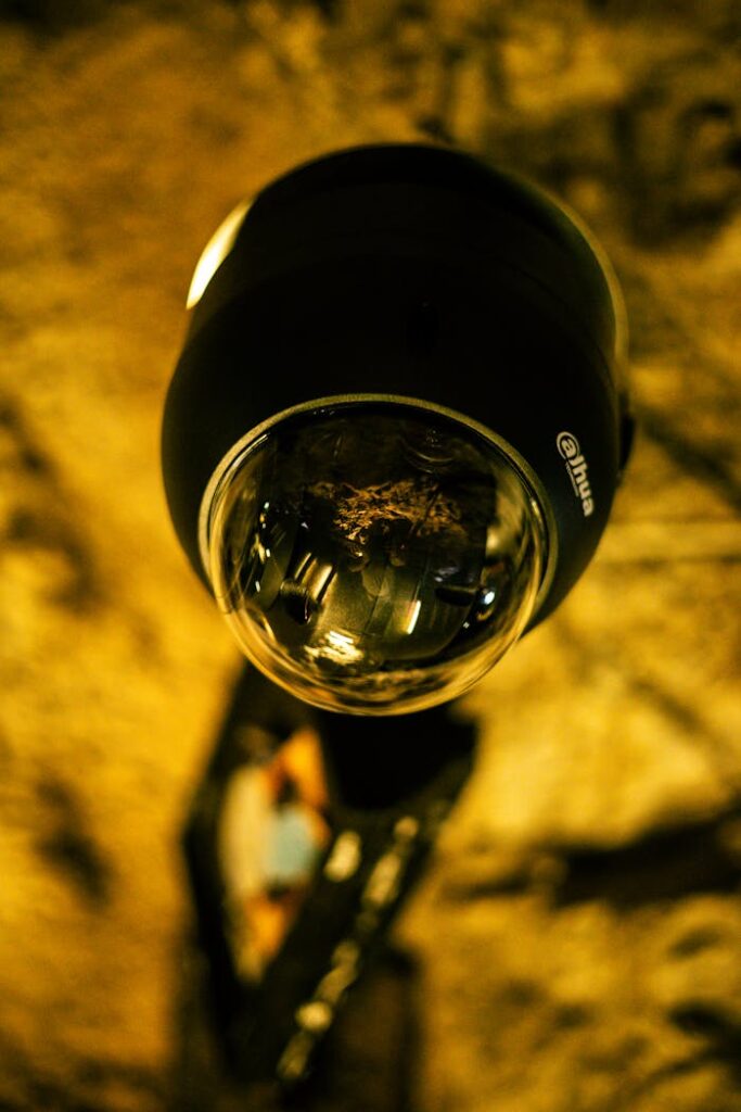 pexels photo 17527824.jpeg